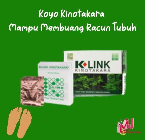 Koyo Kinotakara Mampu Membuang Racun Tubuh