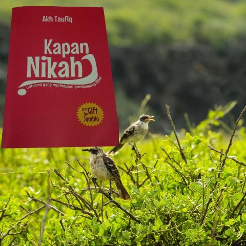 Kapan nikah untukmu yang merindukan pendamping hidup